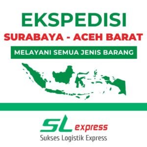 Read more about the article Ekspedisi Surabaya Aceh Barat: Pengiriman Aman dan Andal