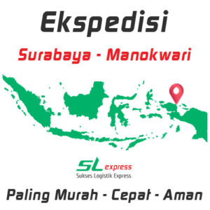 Read more about the article Jasa Ekspedisi Surabaya Manokwari Murah, Aman dan Cepat