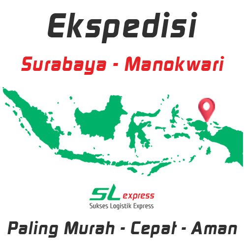 Jasa Ekspedisi Surabaya Manokwari Murah Aman Dan Cepat