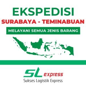 Read more about the article Ekspedisi Surabaya Teminabuan Murah, Solusi Kirim Barang Tanpa Bikin Kantong Bolong 