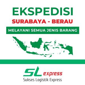 Read more about the article Ekspedisi Surabaya Berau Cepat