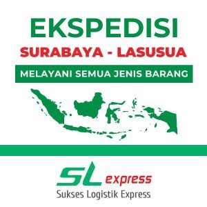 Read more about the article Ekspedisi Surabaya Lasusua Aman